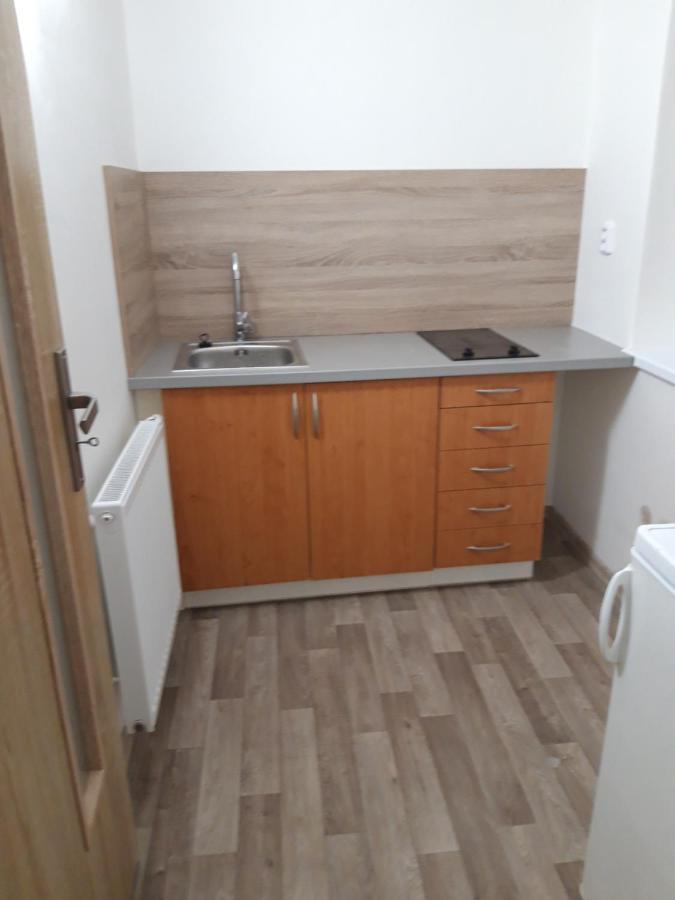 Apartman Plasy Exterior photo